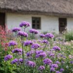 Méh- és beporzóbarát növények