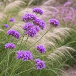 Virágzó növények