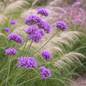 Virágzó növények díszfüvekkel összeültetve.