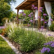 Ernyős verbéna Verbena bonariensis légies lila virágai modern kertben