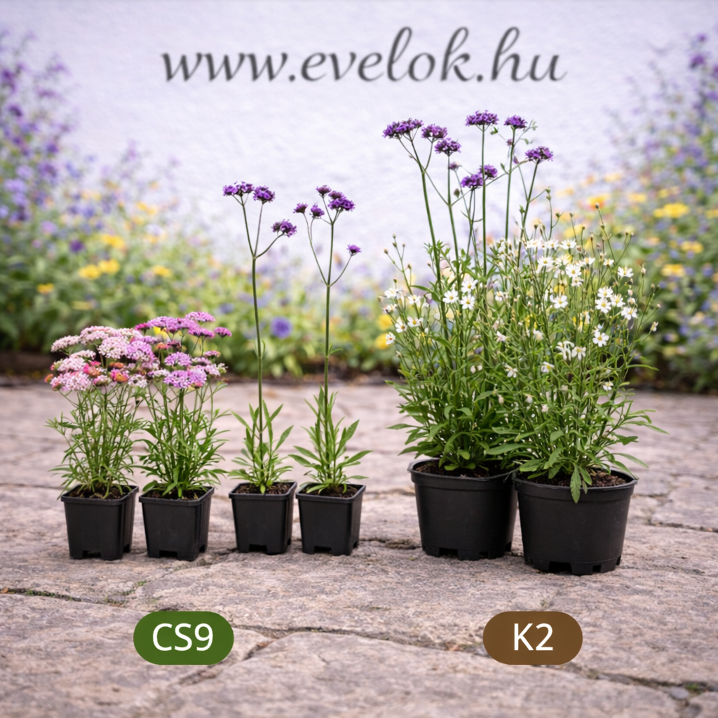 Miért nem a növény magassága a legfontosabb vásárláskor?